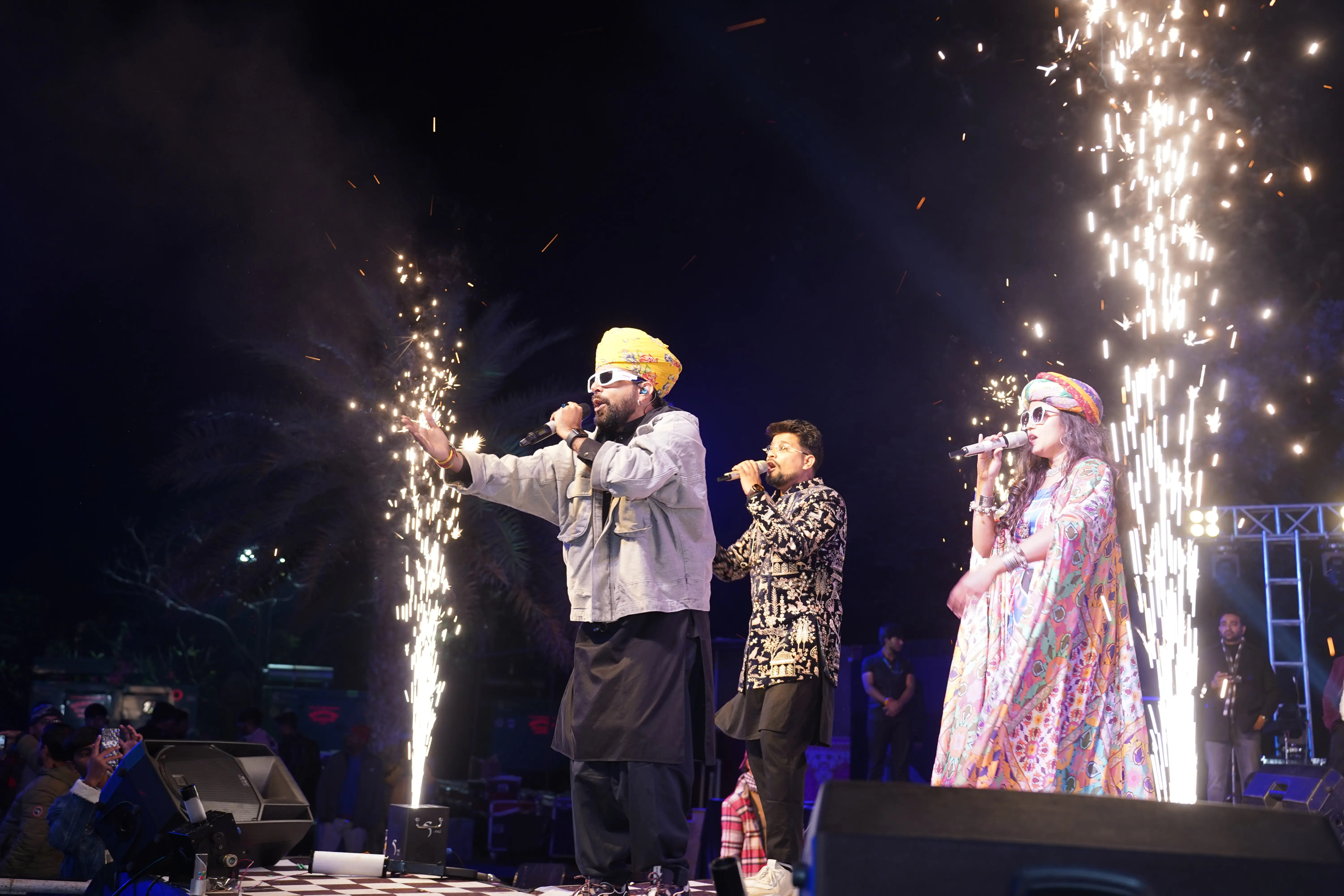 Artist performing at concert